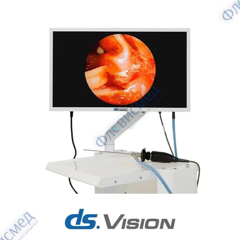 Система эндоскопической визуализации DS.Vision FHD 3in1